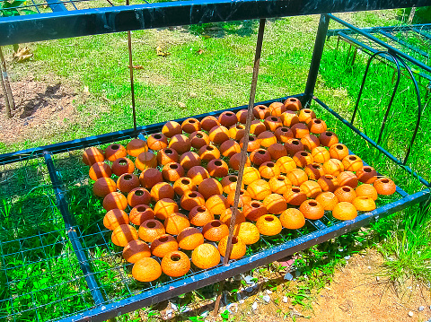 The plates made from coconut at the market in Thailand, Asia