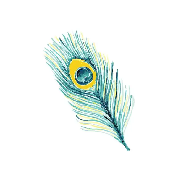Vector illustration of Beautiful hand drawn watercolor peacock feather. Trendy fashion blue colors on white background perfect for tissue, fabric and textile or graphic design.