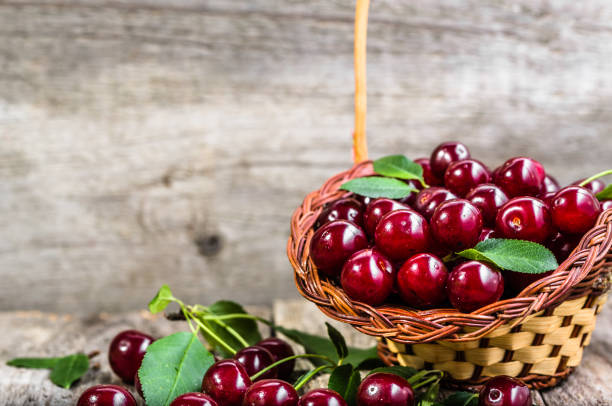 istock Organic cherries, farm fresh fruits on farmer table 835804630