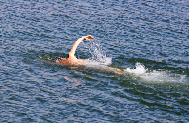 istock The man is swimming in the lake 835804942