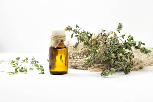 istock Organic essential thyme oil with green leaves 835806860