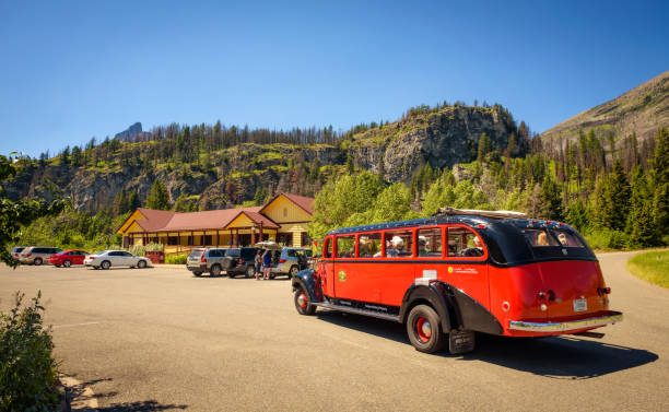 red bus com turistas no parque nacional glacier - us glacier national park montana bus park - fotografias e filmes do acervo