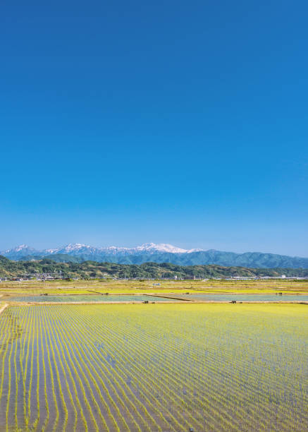 140+ Mont Haku Photos Photos, taleaux et images libre de droits iStock