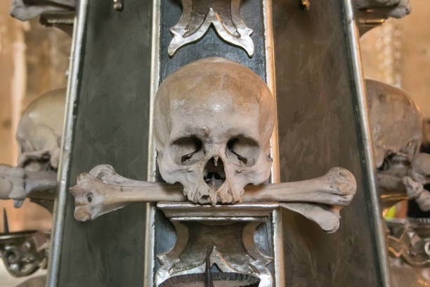 foto von menschlicher schädel und knochen - kutna hora skull human bone people stock-fotos und bilder