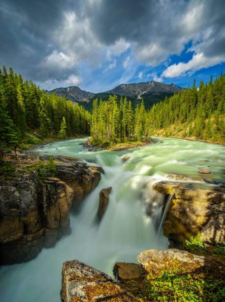 istock Sunwapta Falls in Jasper National Park, Canada 835825602