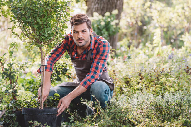 istock young gardener in apron planting tree while working in garden 835825902
