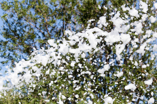 istock White foam at the festival as a background 835830104