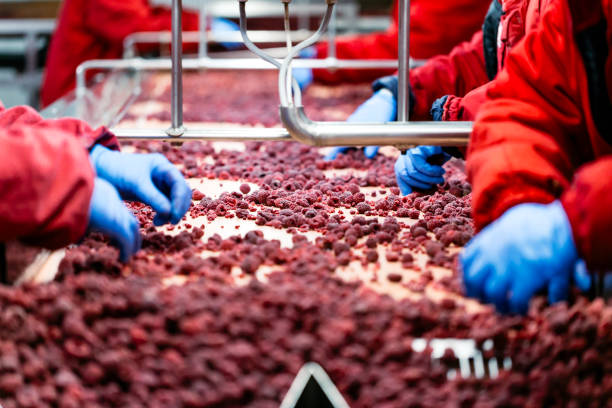istock Frozen food industry 835833278