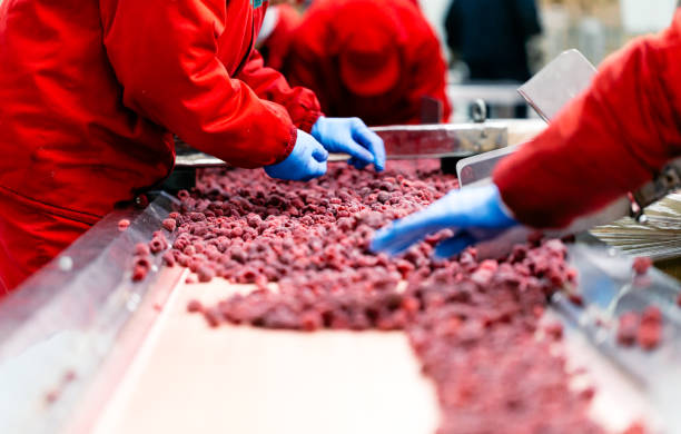 istock Frozen food industry 835833382