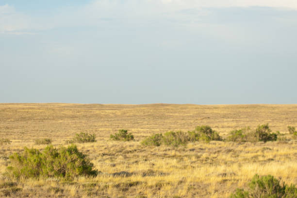 istock Steppe in the summer. Central Asia Kazakhstan 835836372