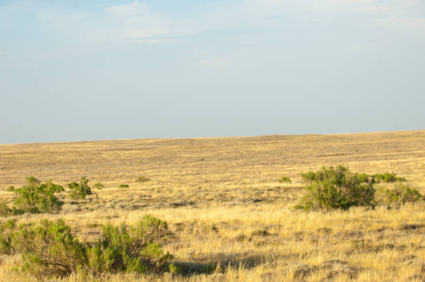 istock Steppe in the summer. Central Asia Kazakhstan 835836388