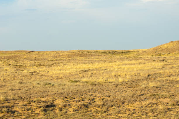 istock Steppe in the summer. Central Asia Kazakhstan 835836398