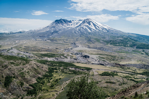 Beautiful landscape with the Mount St. Helens volcano, mountains, green grass, purple flowers and blue sky on a sunny day.