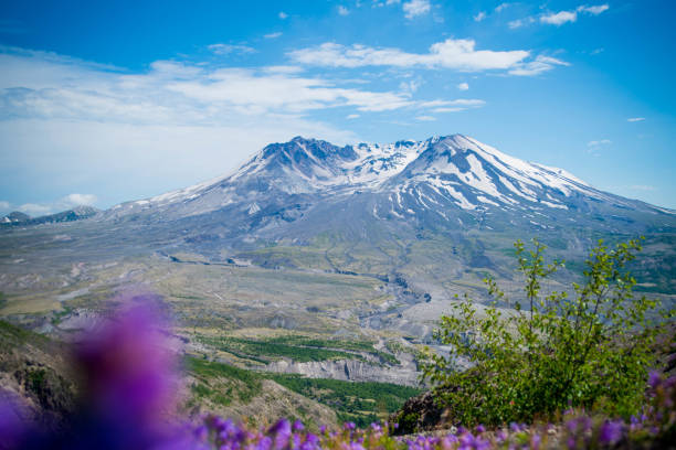 istock Mount St. Helens volcano on a sunny day. 835856064