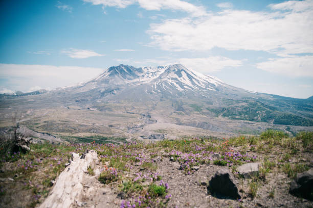 istock Mount St. Helens volcano on a sunny day. 835856074