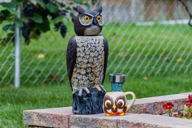 an owl having morning coffee in the garden