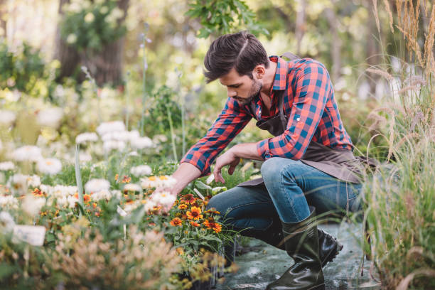 istock young gardener in apron and rubber boots checking flower while working in garden 835865156