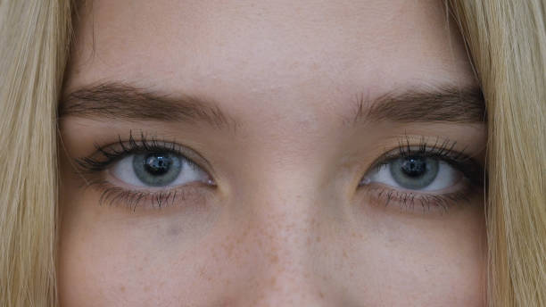 istock Close Up Of Eyes 835865488