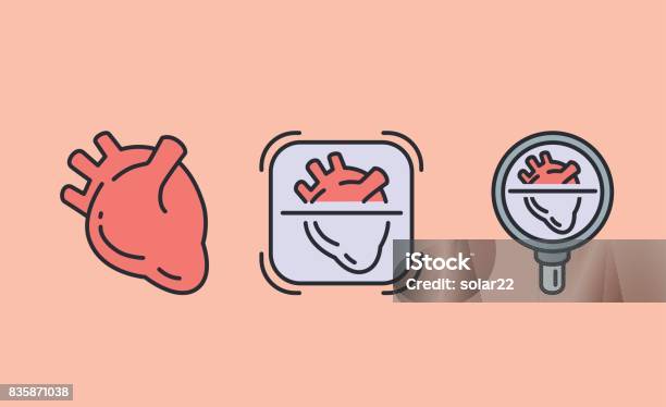 3 Heart Icon With Magnifying Glass Stock Illustration - Download Image Now - Heart - Internal Organ, Anatomy, Artery