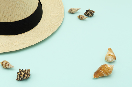 Top view  Panama-style caps (panama hat) lay on a blue sky color background, with shells placed around the summer concept. copy space.