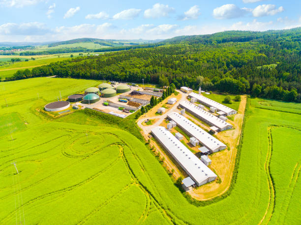 istock Biogas plant and farm in green fields. 835882042