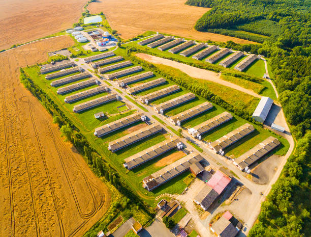 Zealand, Denmark - September 4th 2022: Production buildings at a Danish farm seen from the road, notice the bicycle path, which is a common feature of many Danish roads - also in the countryside