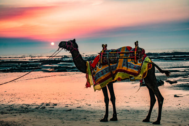 istock A picturesque sunset at Alibagh, India 835885768