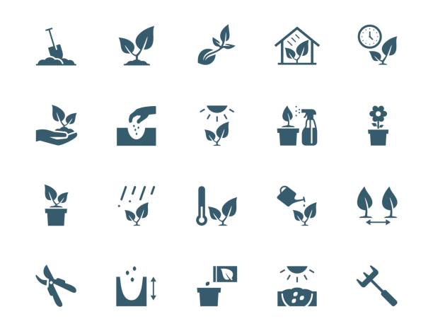 ilustrações de stock, clip art, desenhos animados e ícones de vector plant growing and cultivating icon set - greenhouse