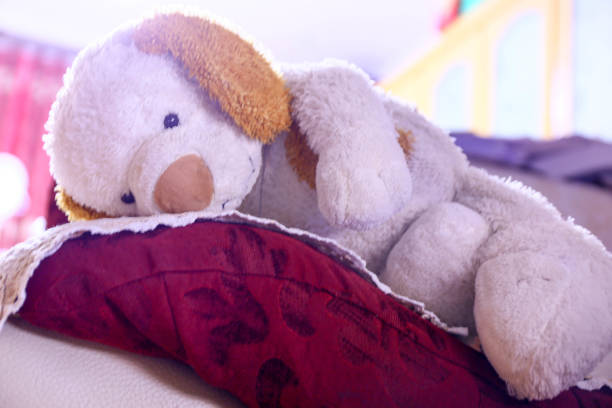 istock Accompany your dolls and toys 835888868