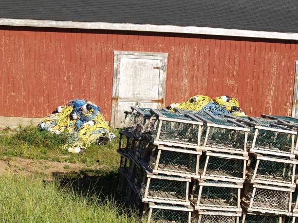istock Lobster pots and rope 835889022