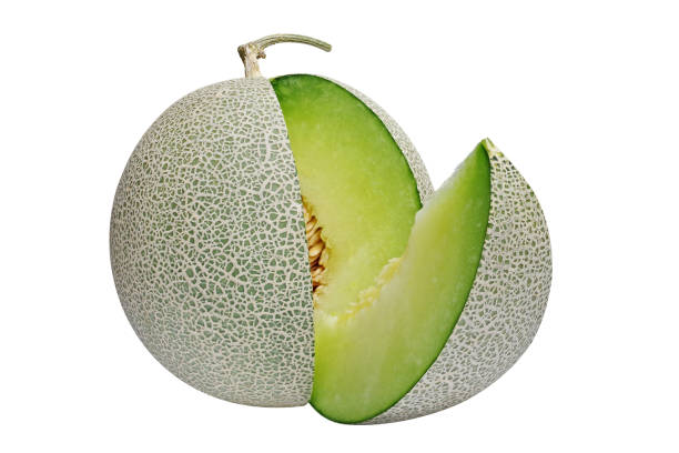 Japanese Green Melon Isolated On White Background Clipping Path