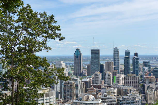 istock Montreal Skyline in summer 835900196
