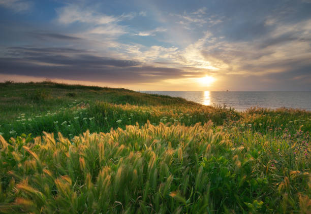 istock Sky, sea, and green grass. 835909222