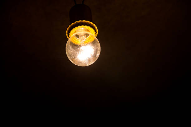 istock Electric light bulb on the dark background 835910122