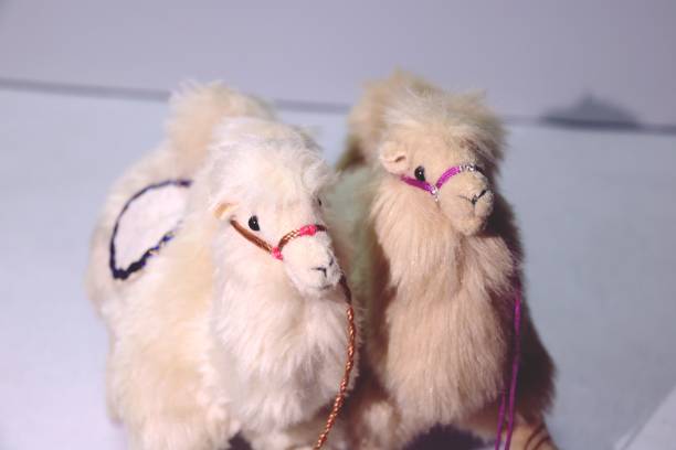 camel doll Close-up photo of a camel doll on a white background korean doll stock pictures, royalty-free photos & images
