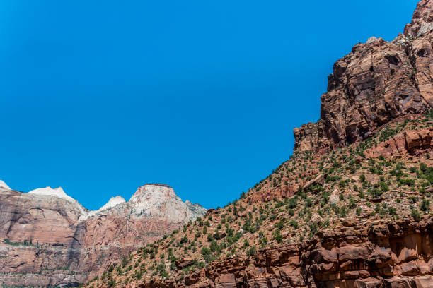 istock Mountains in the Zion National Park, Utah 835911082