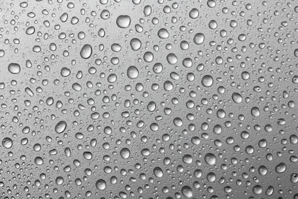 istock water drops on a silver background.water drops on metal silver background 835911436