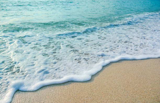istock beautiful wave of ocean on the beach 835919730