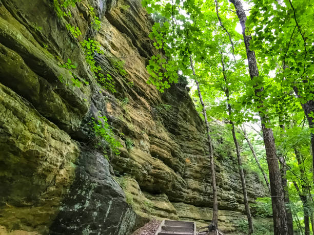 istock Into the woods of Starved Rock State Parka 835931960