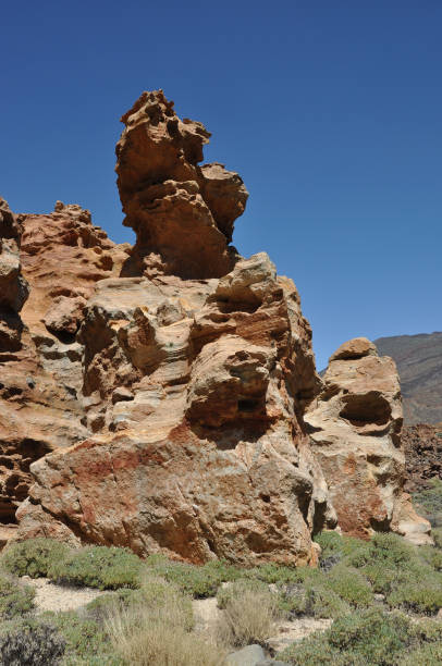 istock Piedras Amarillas, Tenerife 835937604
