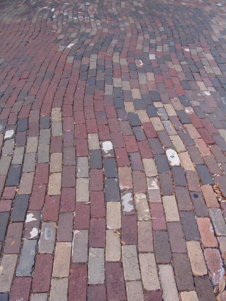 istock Closeup of Florida brick street 835937738