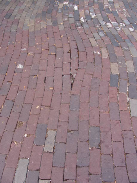 istock Closeup of Florida brick street 835937892
