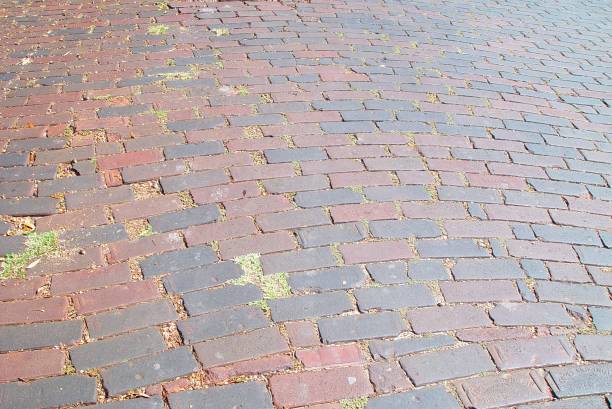 istock Closeup of Florida brick street 835937986