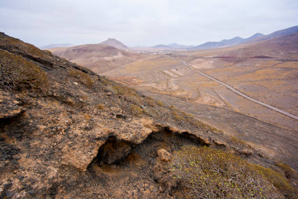 istock Tabaibas in Mountain Slope - Fuerteventura 835938048