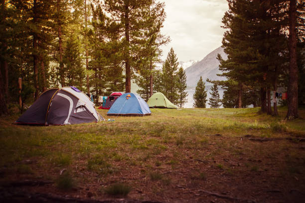 istock tent in the mountains in a forest 835938054
