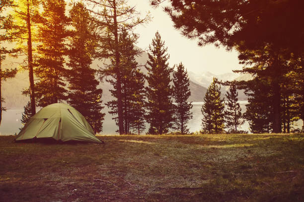 istock Adventures Camping and tent under the pine forest near water 835938108