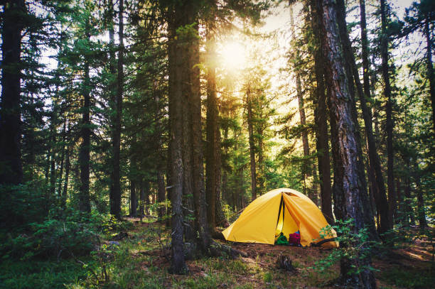 Portraying a man stretching early in the morning outside his tent and enjoying his surroundings.