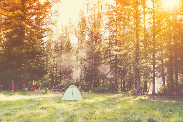 istock tent in the mountains in a forest 835940762