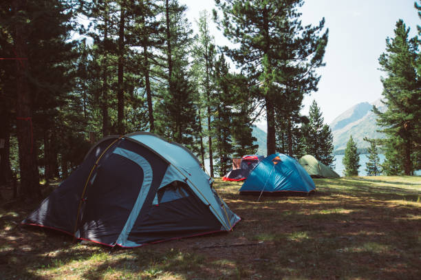istock white touristic tent in a forest 835943270