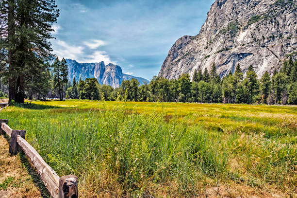 istock Yosemite Valley View wih Mountains and Grassy field 835958216